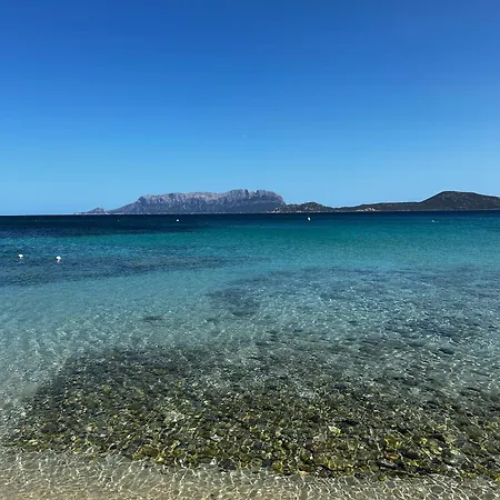 La Casetta Di Irene * Olbia