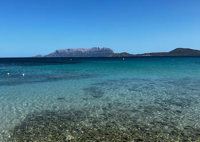 La Casetta Di Irene * אולביה